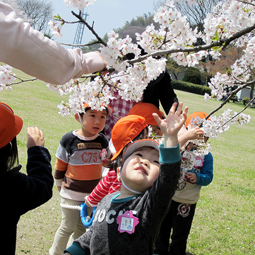 幼保連携型認定こども園 桜谷保育園